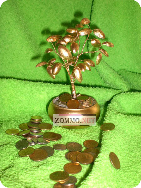 Как выглядит денежное дерево