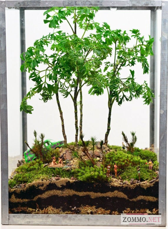 Зеленый террариум для растений