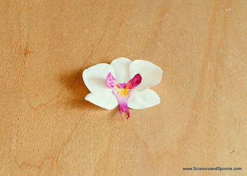 Орхидея из бумаги-вклеиваем серединку