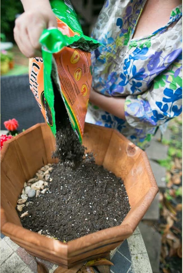Садик из суккулентов - насыпьте дренаж и почву