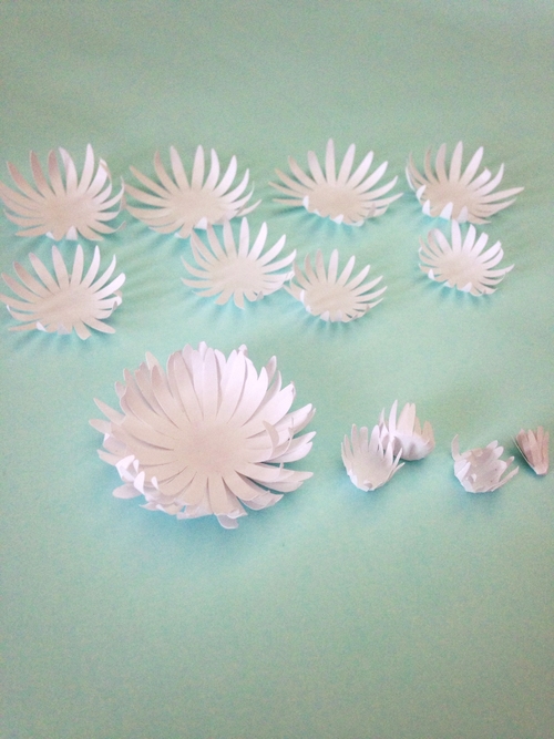 Хризантемы из бумаги-клеим цветок