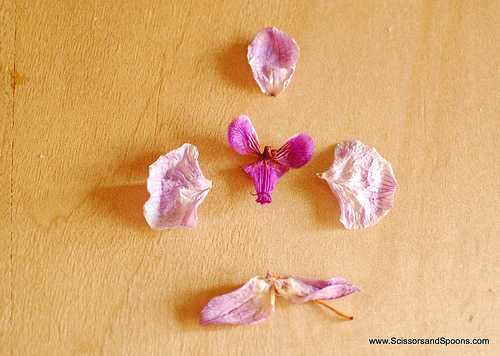 Орхидея из бумаги-детали цветков