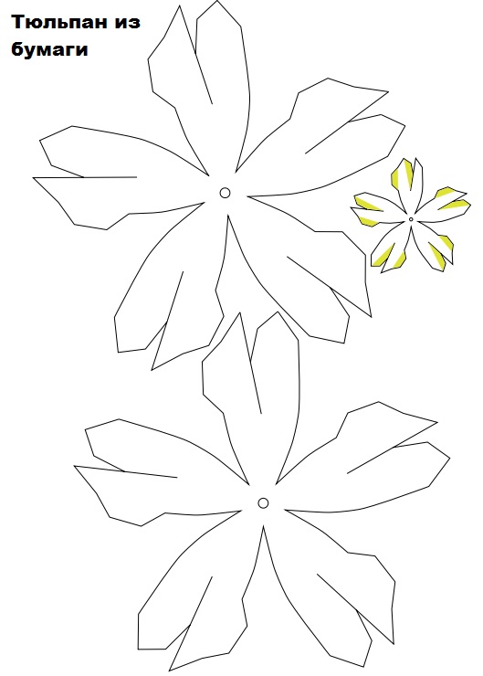 Тюльпан из бумаги своими руками: мастер - класс с различными вариантами создания цветов